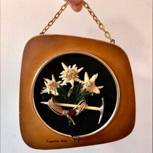 Vintage “Dried Mountain Edeilweiss” mini dried flowers wall art 🌿